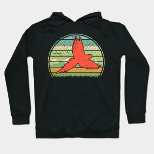 Parrot Sunset Hoodie